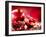 Pomegranate Fruit-Subbotina Anna-Framed Photographic Print