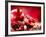 Pomegranate Fruit-Subbotina Anna-Framed Photographic Print