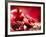 Pomegranate Fruit-Subbotina Anna-Framed Photographic Print