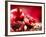 Pomegranate Fruit-Subbotina Anna-Framed Photographic Print