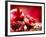 Pomegranate Fruit-Subbotina Anna-Framed Photographic Print