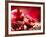 Pomegranate Fruit-Subbotina Anna-Framed Photographic Print