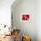 Pomegranate Fruit-Subbotina Anna-Framed Photographic Print displayed on a wall