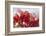 Pomegranate on the Street Raw or Made into Juice, Bangkok, Thailand-Cindy Miller Hopkins-Framed Photographic Print