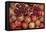 Pomegranate: Opened to Show Seeds Within Sweet Jelly-null-Framed Premier Image Canvas