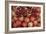 Pomegranate: Opened to Show Seeds Within Sweet Jelly-null-Framed Photographic Print