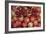 Pomegranate: Opened to Show Seeds Within Sweet Jelly-null-Framed Photographic Print