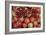 Pomegranate: Opened to Show Seeds Within Sweet Jelly-null-Framed Photographic Print