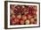 Pomegranate: Opened to Show Seeds Within Sweet Jelly-null-Framed Photographic Print