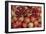 Pomegranate: Opened to Show Seeds Within Sweet Jelly-null-Framed Photographic Print