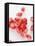 Pomegranate Seeds-Alain Caste-Framed Premier Image Canvas