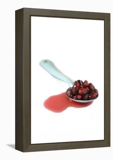 Pomegranate Seeds-Veronique Leplat-Framed Premier Image Canvas