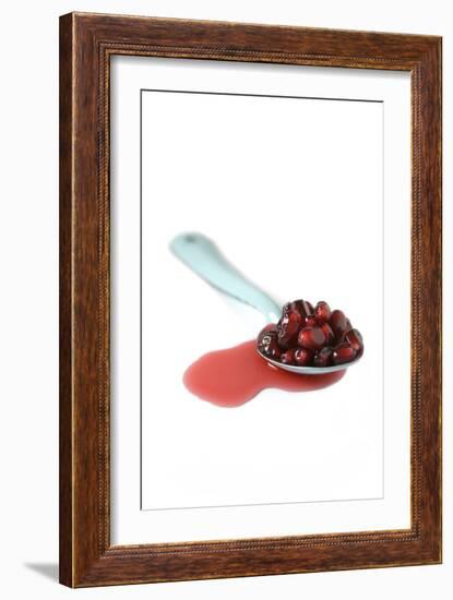 Pomegranate Seeds-Veronique Leplat-Framed Photographic Print