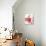 Pomegranate Seeds-Alain Caste-Photographic Print displayed on a wall