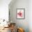 Pomegranate Seeds-Alain Caste-Framed Photographic Print displayed on a wall