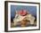 Pomegranate Still Life, 2008 (Oil on Board)-Trevor Neal-Framed Giclee Print