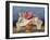 Pomegranate Still Life, 2008 (Oil on Board)-Trevor Neal-Framed Giclee Print