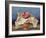 Pomegranate Still Life, 2008 (Oil on Board)-Trevor Neal-Framed Giclee Print