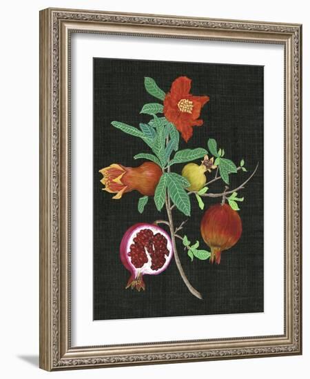 Pomegranate Study II-Melissa Wang-Framed Art Print