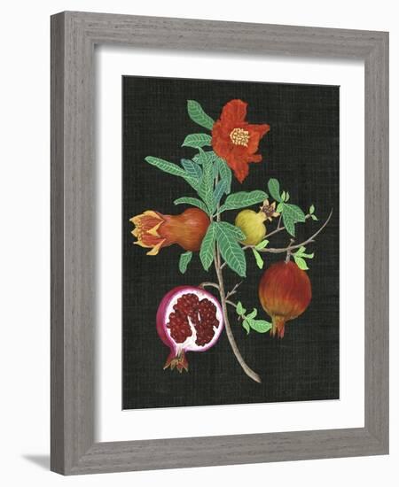 Pomegranate Study II-Melissa Wang-Framed Art Print