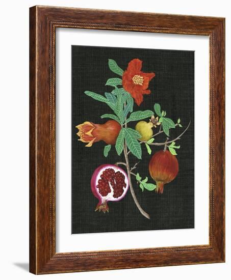 Pomegranate Study II-Melissa Wang-Framed Art Print