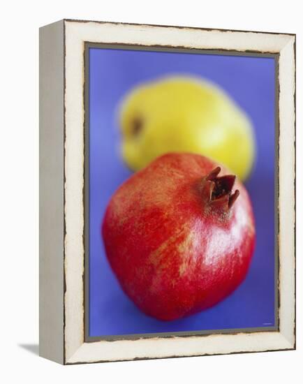 Pomegranate, with Quince Behind-Jean Cazals-Framed Premier Image Canvas