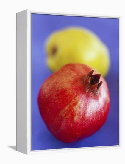 Pomegranate, with Quince Behind-Jean Cazals-Framed Premier Image Canvas