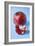 Pomegranate-Veronique Leplat-Framed Photographic Print