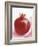 Pomegranate-null-Framed Photographic Print