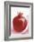 Pomegranate-null-Framed Photographic Print