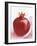 Pomegranate-null-Framed Photographic Print