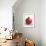 Pomegranate-null-Framed Photographic Print displayed on a wall