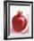 Pomegranate-null-Framed Photographic Print