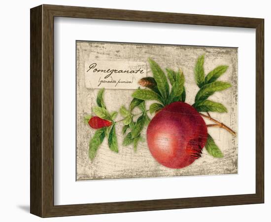 Pomegranate-Kate Ward Thacker-Framed Giclee Print