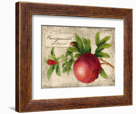 Pomegranate-Kate Ward Thacker-Framed Giclee Print