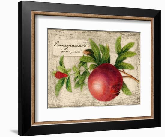 Pomegranate-Kate Ward Thacker-Framed Giclee Print