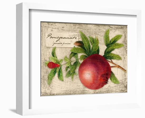 Pomegranate-Kate Ward Thacker-Framed Giclee Print