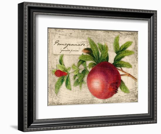 Pomegranate-Kate Ward Thacker-Framed Giclee Print