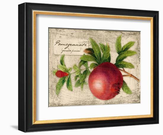 Pomegranate-Kate Ward Thacker-Framed Giclee Print