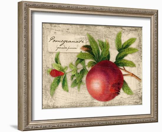 Pomegranate-Kate Ward Thacker-Framed Giclee Print