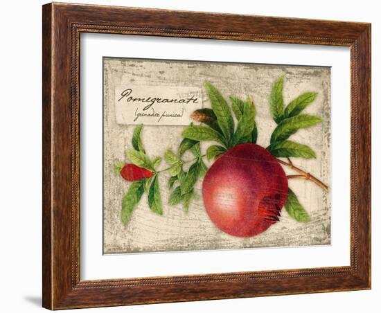 Pomegranate-Kate Ward Thacker-Framed Giclee Print