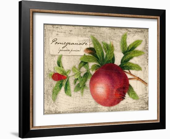 Pomegranate-Kate Ward Thacker-Framed Giclee Print