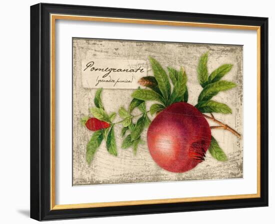 Pomegranate-Kate Ward Thacker-Framed Giclee Print