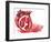 Pomegranate-Wolf Heart Illustrations-Framed Giclee Print