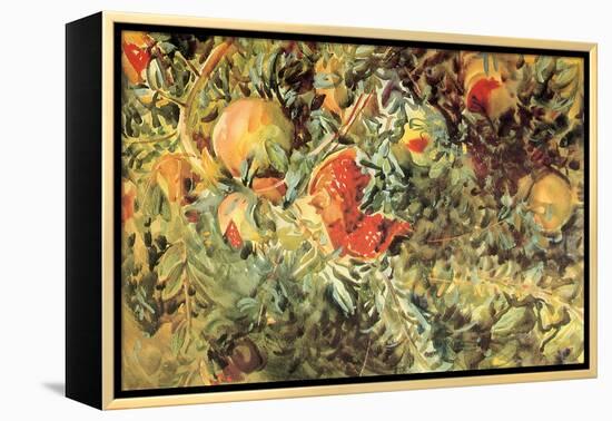 Pomegranates, 1908-John Singer Sargent-Framed Premier Image Canvas
