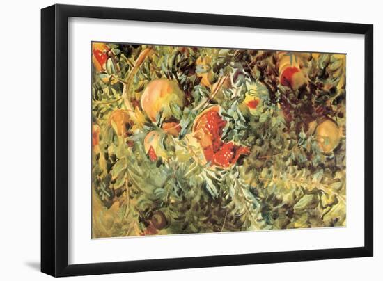 Pomegranates, 1908-John Singer Sargent-Framed Giclee Print
