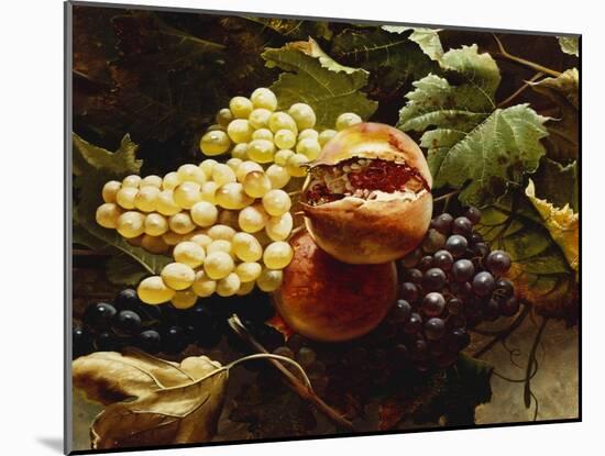 Pomegranates and Grapes-Michelangelo Meucci-Mounted Giclee Print