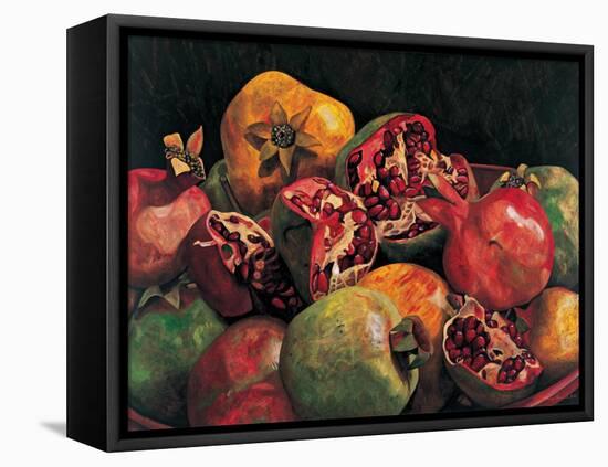 Pomegranates from Chabela, 2007-Pedro Diego Alvarado-Framed Premier Image Canvas