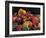 Pomegranates from Chabela, 2007-Pedro Diego Alvarado-Framed Giclee Print