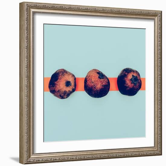 Pomegranates in the Exclusive Design Minimal Style-Evgeniya Porechenskaya-Framed Photographic Print